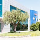 GIGLIOLI PRODUCTION SRL