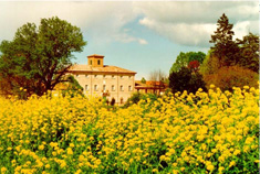 territorio san mauro pascoli